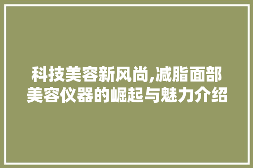 科技美容新风尚,减脂面部美容仪器的崛起与魅力介绍