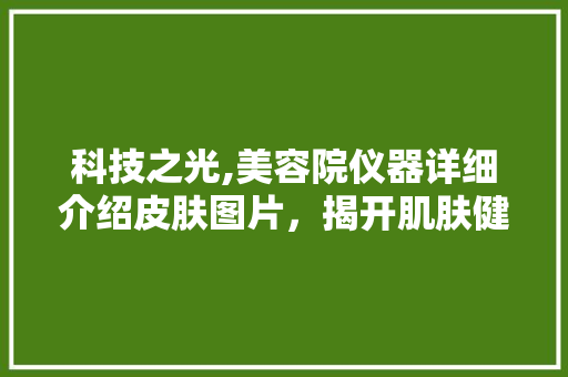 科技之光,美容院仪器详细介绍皮肤图片，揭开肌肤健康之谜