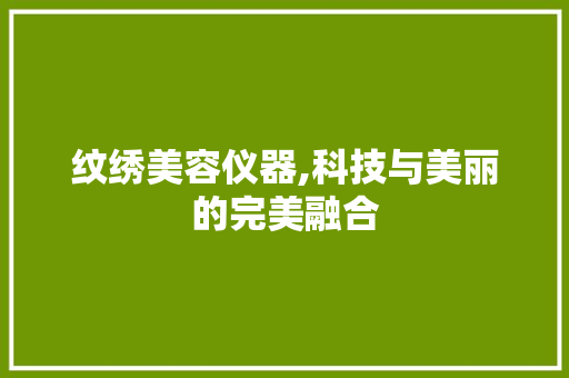 纹绣美容仪器,科技与美丽的完美融合