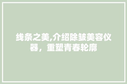 线条之美,介绍除皱美容仪器，重塑青春轮廓