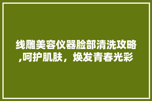 线雕美容仪器脸部清洗攻略,呵护肌肤，焕发青春光彩