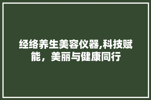 经络养生美容仪器,科技赋能，美丽与健康同行