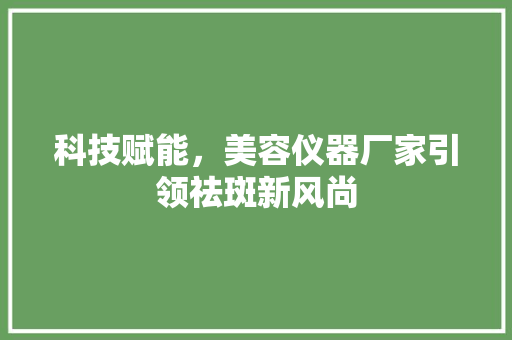 科技赋能，美容仪器厂家引领祛斑新风尚 美体修身