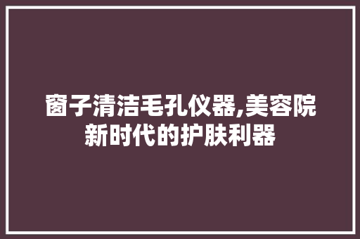 窗子清洁毛孔仪器,美容院新时代的护肤利器