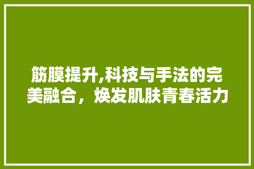 筋膜提升,科技与手法的完美融合，焕发肌肤青春活力 综合便民