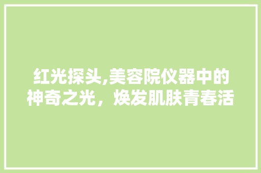红光探头,美容院仪器中的神奇之光，焕发肌肤青春活力