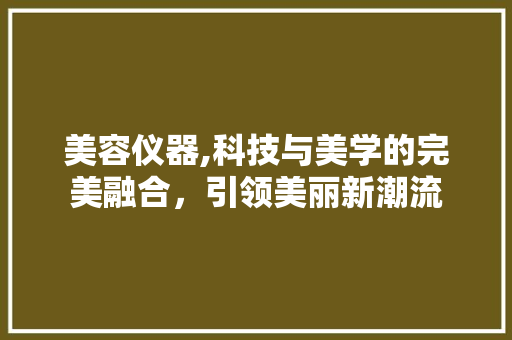 美容仪器,科技与美学的完美融合，引领美丽新潮流