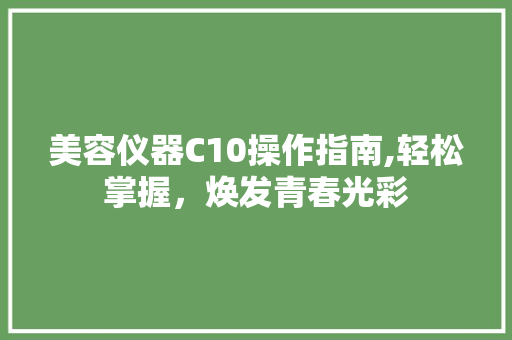 美容仪器C10操作指南,轻松掌握，焕发青春光彩