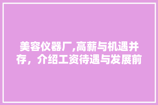美容仪器厂,高薪与机遇并存，介绍工资待遇与发展前景