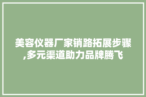 美容仪器厂家销路拓展步骤,多元渠道助力品牌腾飞