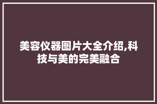 美容仪器图片大全介绍,科技与美的完美融合
