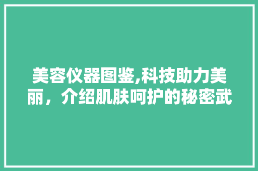 美容仪器图鉴,科技助力美丽，介绍肌肤呵护的秘密武器