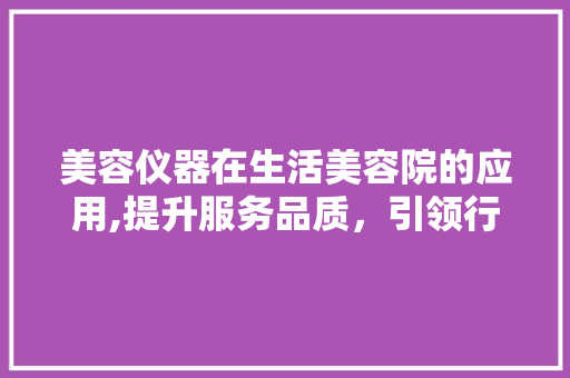 美容仪器在生活美容院的应用,提升服务品质，引领行业新潮流