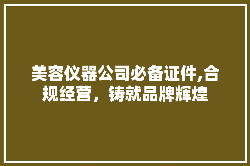 美容仪器公司必备证件,合规经营，铸就品牌辉煌