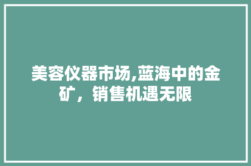 美容仪器市场,蓝海中的金矿，销售机遇无限