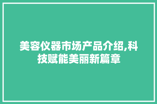 美容仪器市场产品介绍,科技赋能美丽新篇章
