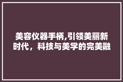 美容仪器手柄,引领美丽新时代，科技与美学的完美融合