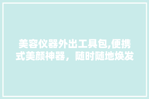 美容仪器外出工具包,便携式美颜神器，随时随地焕发青春光彩