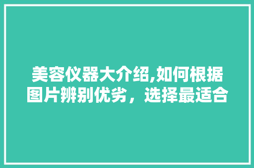 美容仪器大介绍,如何根据图片辨别优劣，选择最适合您的美肤神器