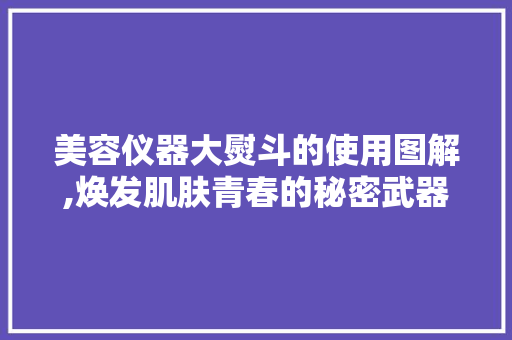 美容仪器大熨斗的使用图解,焕发肌肤青春的秘密武器