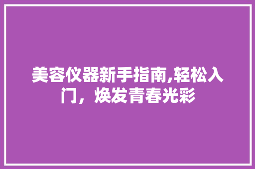 美容仪器新手指南,轻松入门，焕发青春光彩