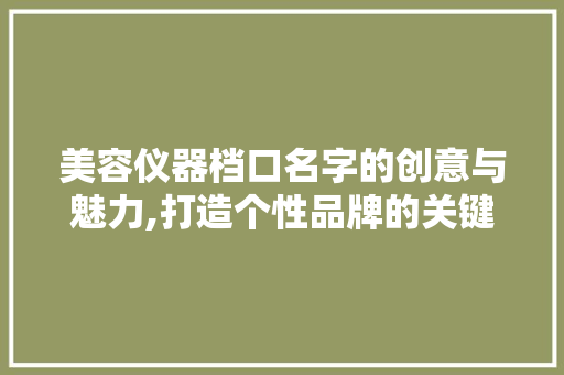 美容仪器档口名字的创意与魅力,打造个性品牌的关键一步