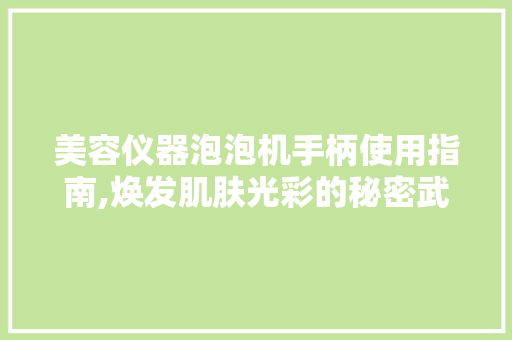 美容仪器泡泡机手柄使用指南,焕发肌肤光彩的秘密武器