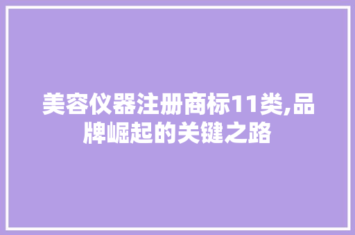 美容仪器注册商标11类,品牌崛起的关键之路