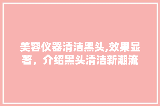 美容仪器清洁黑头,效果显著，介绍黑头清洁新潮流