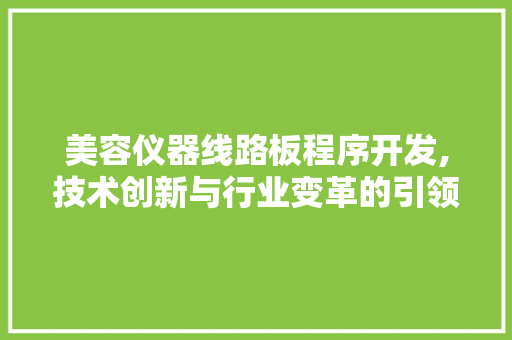 美容仪器线路板程序开发,技术创新与行业变革的引领者