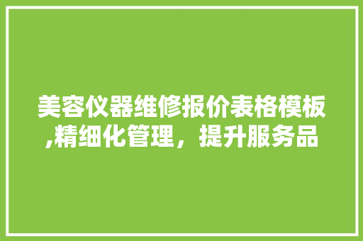 美容仪器维修报价表格模板,精细化管理，提升服务品质