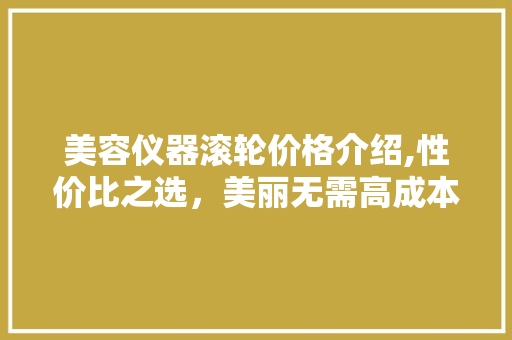 美容仪器滚轮价格介绍,性价比之选，美丽无需高成本