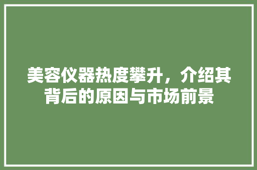美容仪器热度攀升，介绍其背后的原因与市场前景
