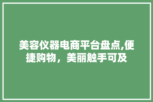 美容仪器电商平台盘点,便捷购物，美丽触手可及