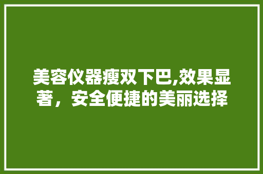 美容仪器瘦双下巴,效果显著，安全便捷的美丽选择