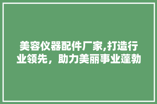 美容仪器配件厂家,打造行业领先，助力美丽事业蓬勃发展