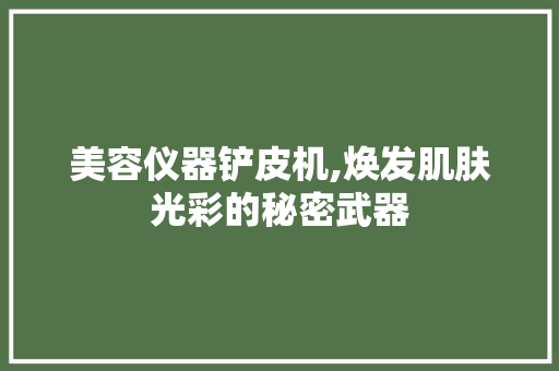 美容仪器铲皮机,焕发肌肤光彩的秘密武器