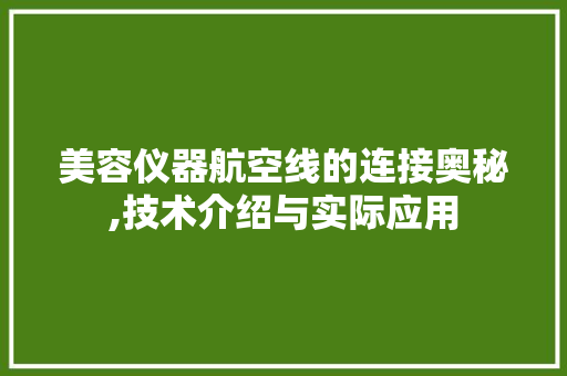 美容仪器航空线的连接奥秘,技术介绍与实际应用 饮食大全