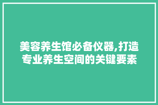美容养生馆必备仪器,打造专业养生空间的关键要素