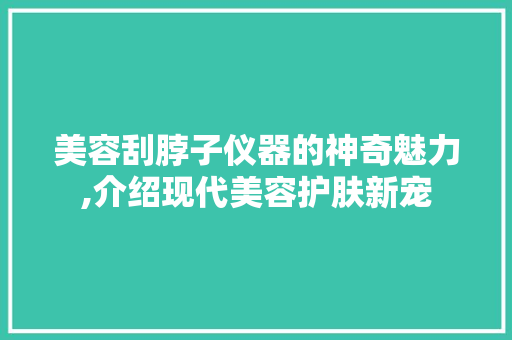 美容刮脖子仪器的神奇魅力,介绍现代美容护肤新宠