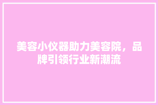 美容小仪器助力美容院，品牌引领行业新潮流
