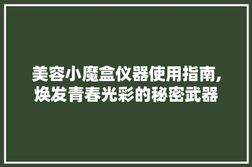 美容小魔盒仪器使用指南,焕发青春光彩的秘密武器