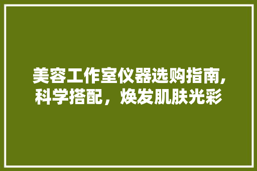 美容工作室仪器选购指南,科学搭配，焕发肌肤光彩