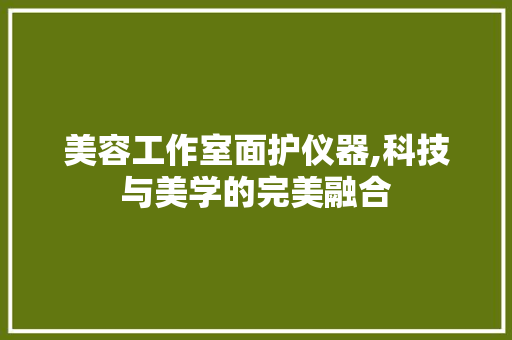 美容工作室面护仪器,科技与美学的完美融合