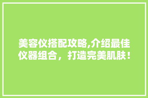 美容仪搭配攻略,介绍最佳仪器组合，打造完美肌肤！ 饮食大全