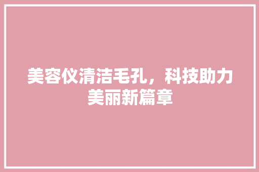 美容仪清洁毛孔，科技助力美丽新篇章 美体修身