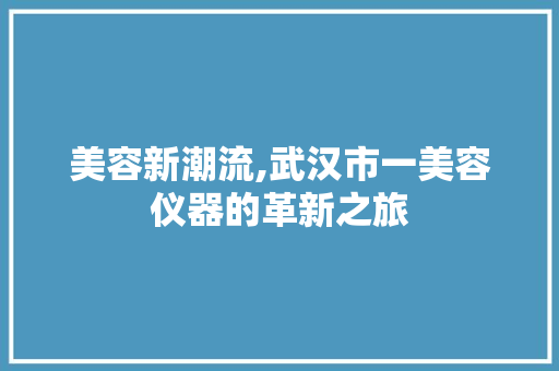 美容新潮流,武汉市一美容仪器的革新之旅