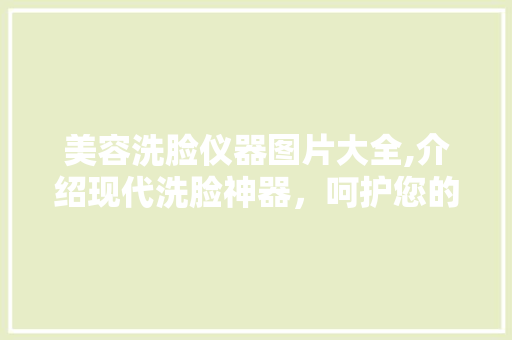 美容洗脸仪器图片大全,介绍现代洗脸神器，呵护您的肌肤健康