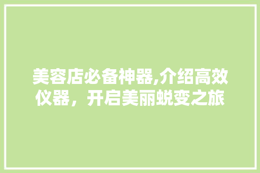 美容店必备神器,介绍高效仪器，开启美丽蜕变之旅