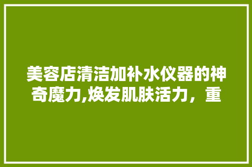 美容店清洁加补水仪器的神奇魔力,焕发肌肤活力，重拾青春光彩